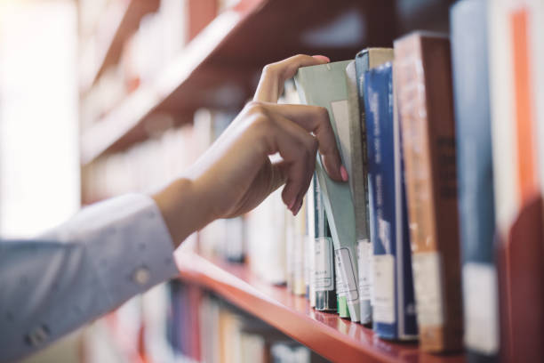 La fontaine aux livres - Bibliothèque municipale