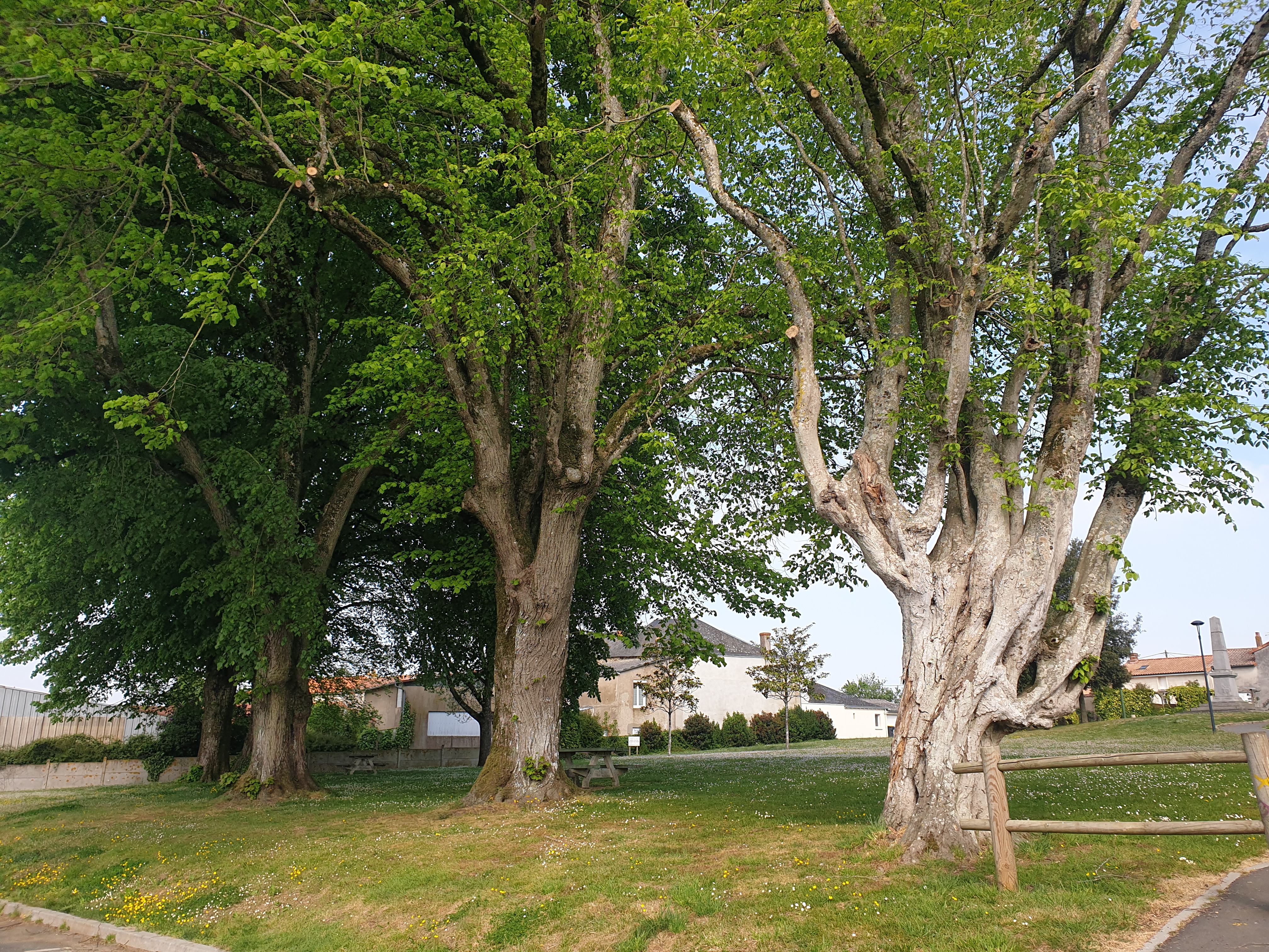Environnement