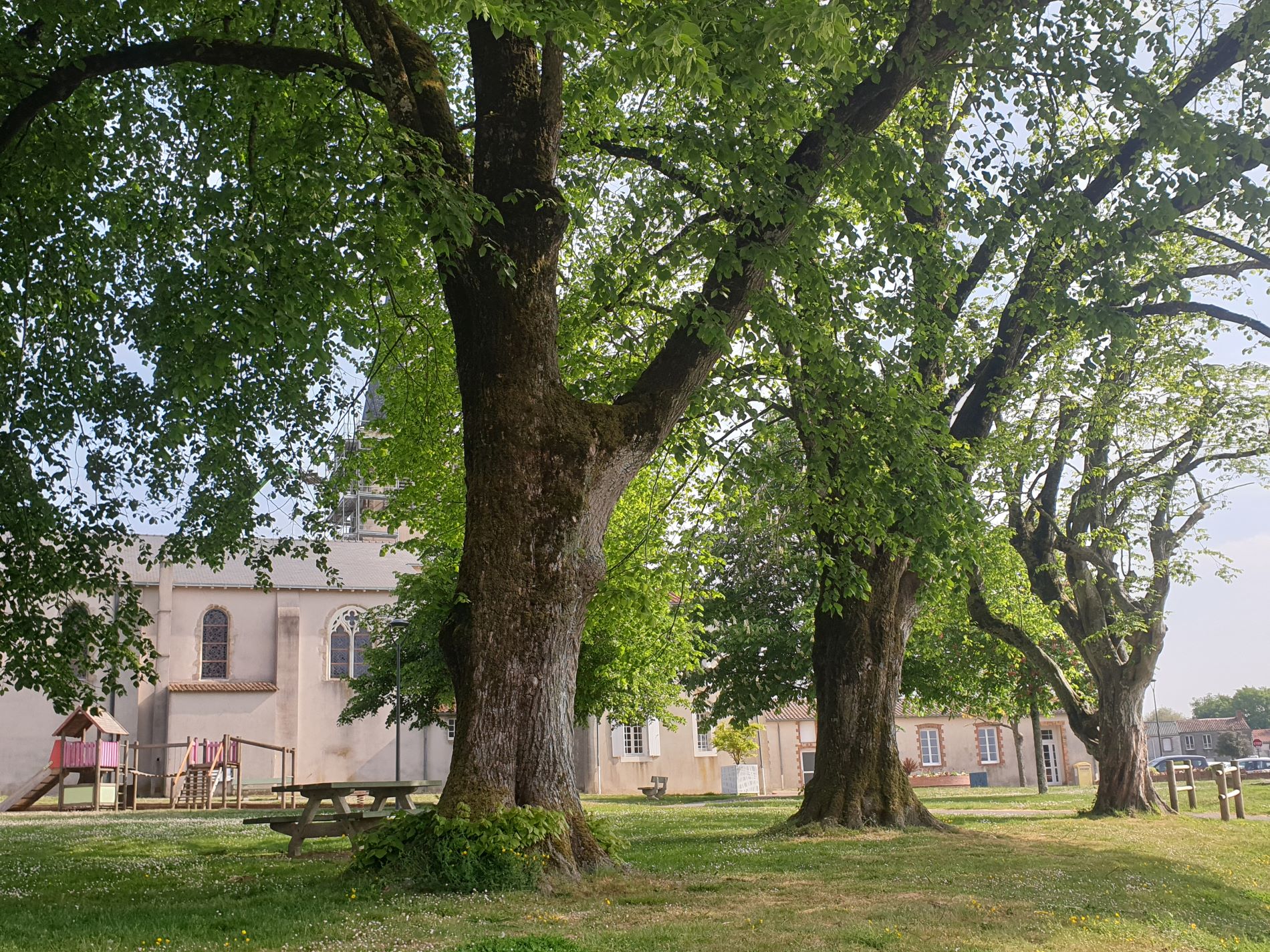 Parc Saint-Protais